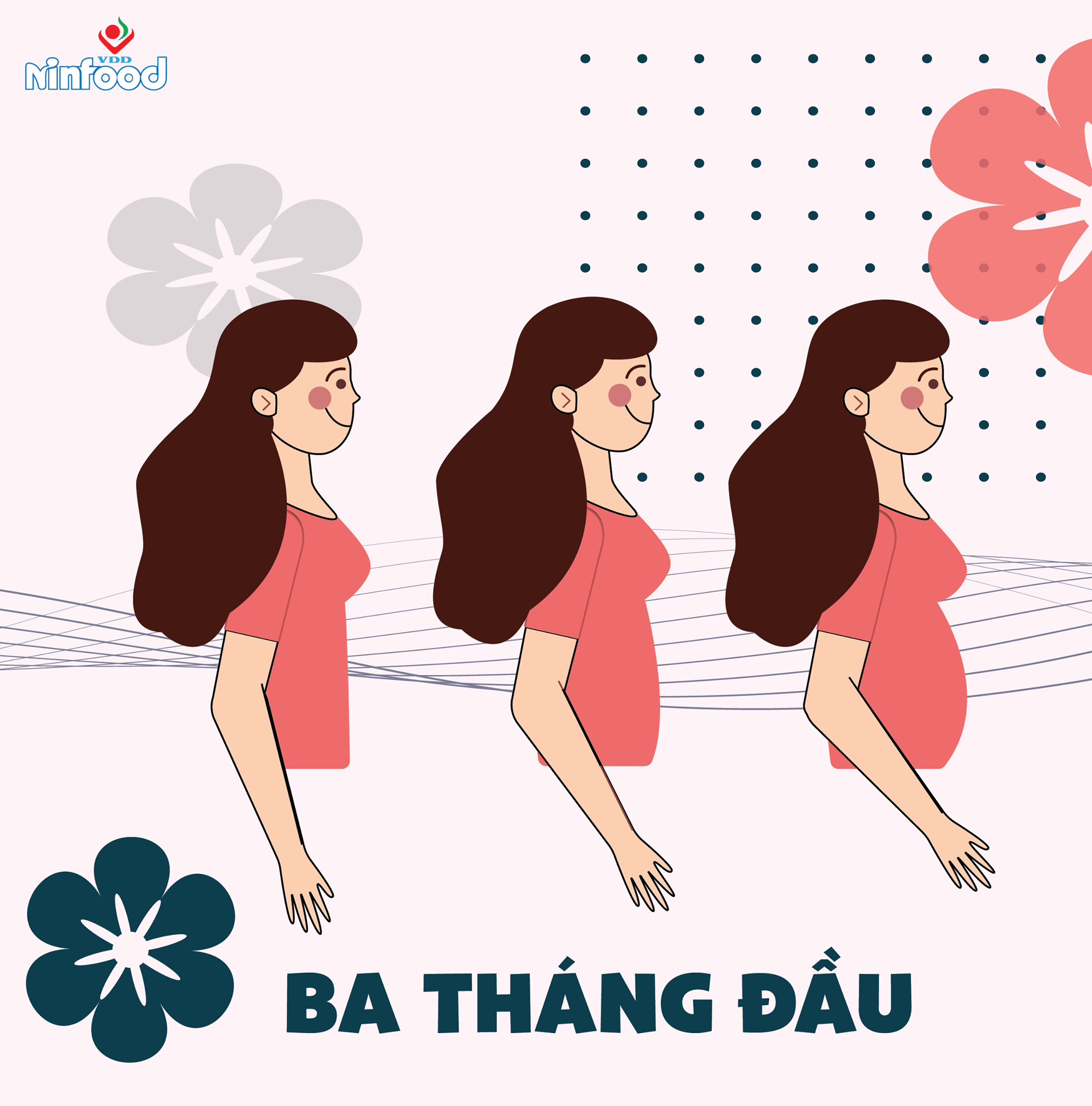 Chăm Sóc Dinh Dưỡng Cho Mẹ Bầu Trong 3 Tháng Đầu Thai Kỳ