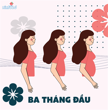 Chăm Sóc Dinh Dưỡng Cho Mẹ Bầu Trong 3 Tháng Đầu Thai Kỳ