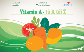 VITAMIN A TỪ A TỚI Z