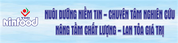 Sơ đồ tổ chức Trung tâm Dịch vụ Khoa học kỹ thuật Dinh dưỡng thực phẩm