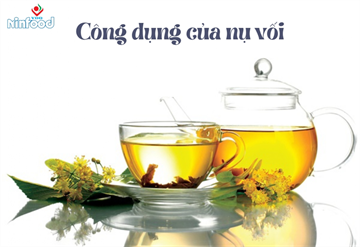 CÔNG DỤNG CỦA NỤ VỐI