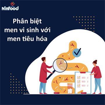 PHÂN BIỆT MEN VI SINH VỚI MEN TIÊU HÓA